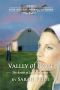 [Amish of Lancaster 04] • Valley of Hope